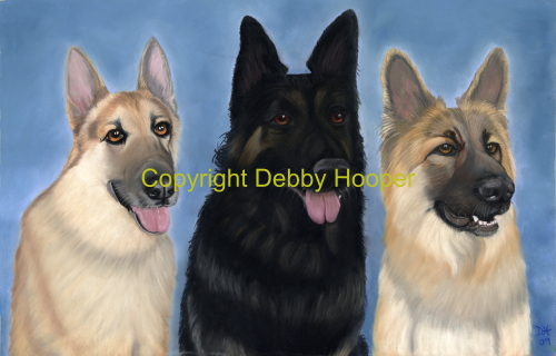 3 GSDs