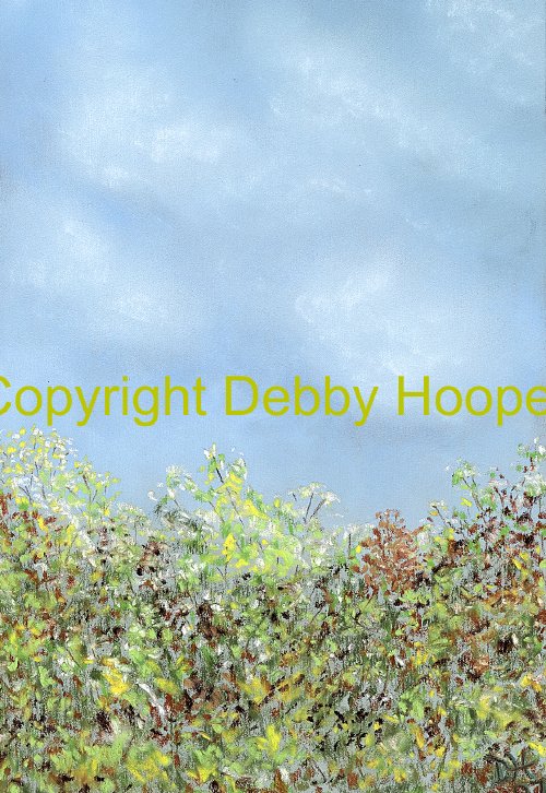 Summe hedge