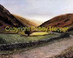 country lane