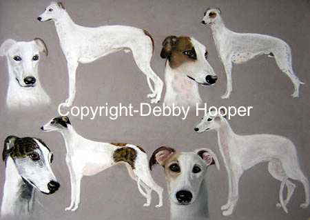doggies