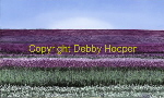 lavender field col