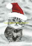santas little helper