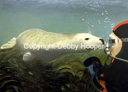 seal
