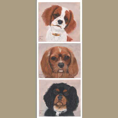 3 Cavaliers