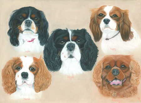 Five Cavaliers