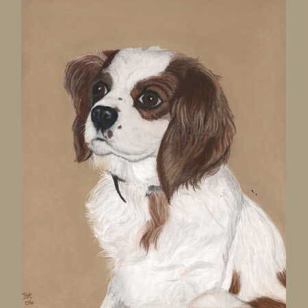 King Charles Spaniel