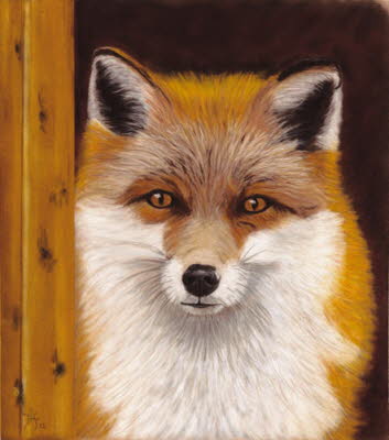 fox