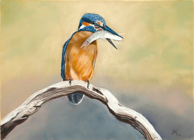 kingfisher-with-fish