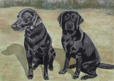 Two Black Labs