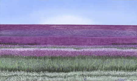 Lavender Field