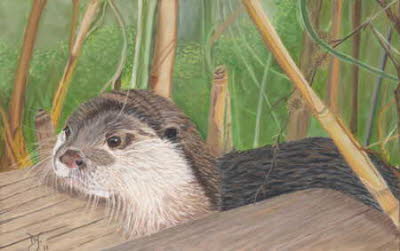 Otter