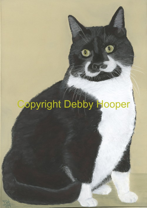 fat cat