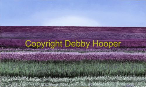 lavender field col