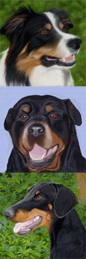 logo2