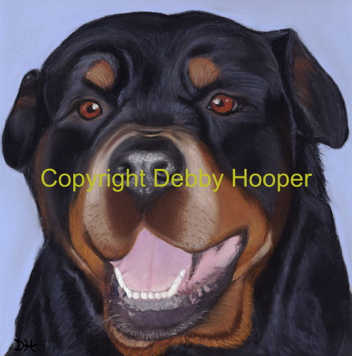rotty col